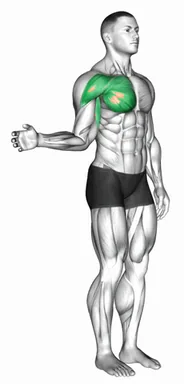Shoulder Internal Rotation demo