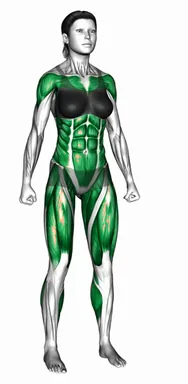 Shoulder Pat Knee Raise demo