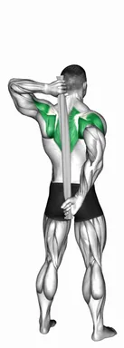 Shoulder Stretch Behind the Back with Towel demo