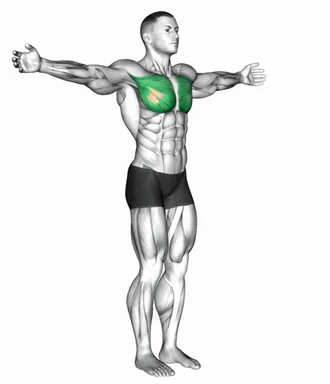 Shoulder Transverse Adduction demo