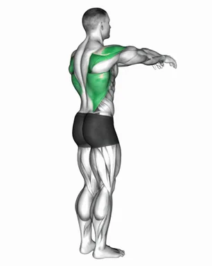 Shoulder Transverse Extension demo