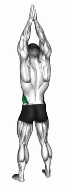 Side Bend Arms Above demo