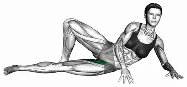 Side Lying Single Leg Adduction Hold demo