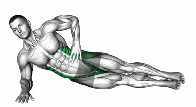 Side Plank Leg Lift (Left) demo