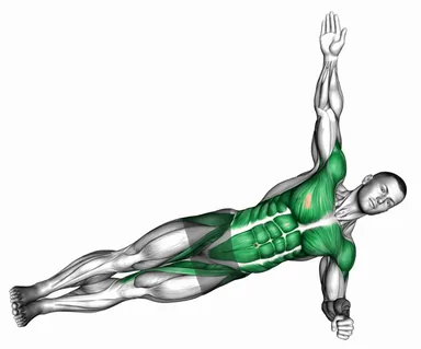 Side Plank Twist Arm Delt Raise demo