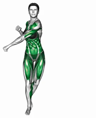사이드 스텝 다운워드 펀치 자세 시연