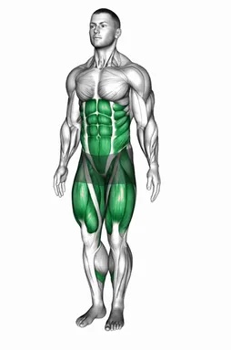 Side Step Squat Touchdown demo