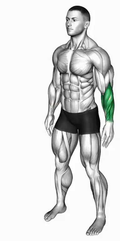 Side Wrist Pull Stretch demo