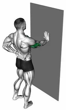 Single Arm Wall Push-Up demo