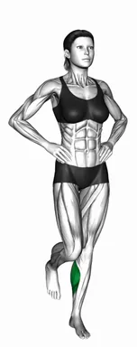 Single Leg Calf Jump demo