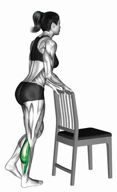 의자 지지 싱글 레그 카프레이즈 자세 시연