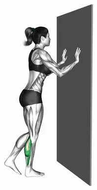 벽 지지 싱글 레그 카프레이즈 자세 시연