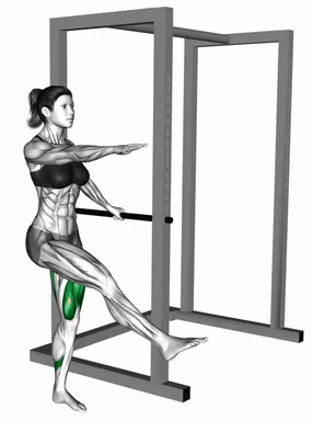 Single Leg Squat with Support demo
