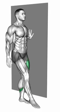 Pistol Squat with Wall Support demo