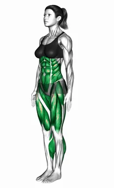 Single Leg Transverse Bend demo