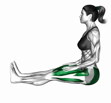 Seated Alternating Quads Stretch demo