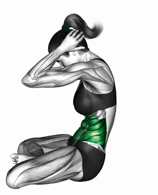 Seated Cat-Cow Pose demo
