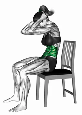 Seated Cat-Cow Stretch on a Chair demo