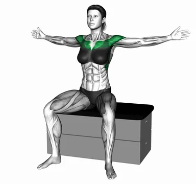 Seated Chest Clap on a Padded Stool demo