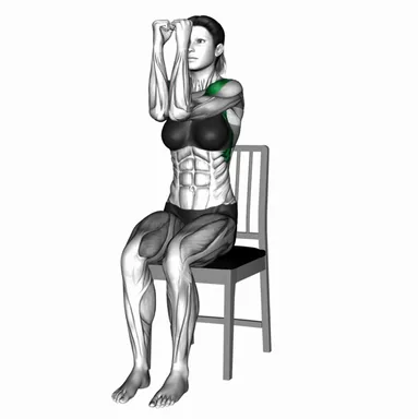 Seated Chest Fly on a Chair demo