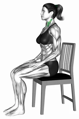 Seated Chin Tuck on a Chair demo