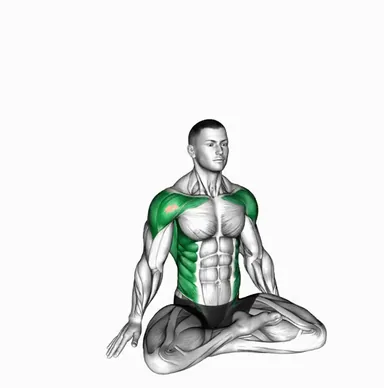 Seated Dynamic Side Stretch demo
