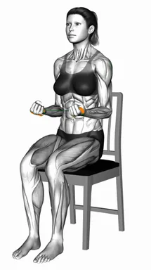 Seated External Rotation on a Chair (Demo 2) demo