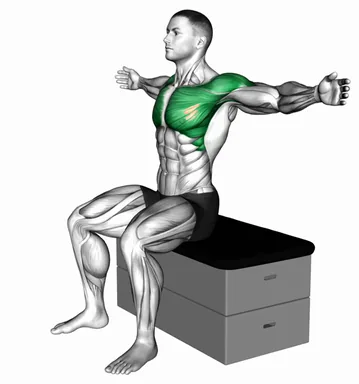 Seated Fly on a Padded Stool demo