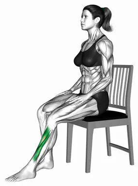 Seated Foot Extensors Stretch on a Chair demo