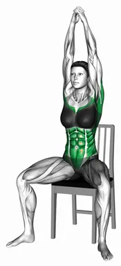 Seated Front Slam on a Chair demo