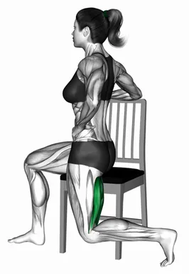 Seated Hamstring Curl on a Chair demo