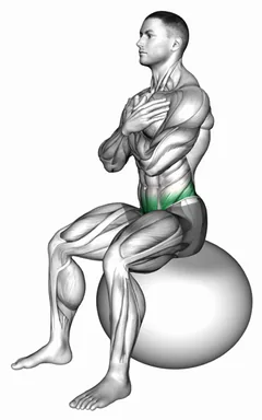 Sitting Hip Mobilization on Exercise Ball demo