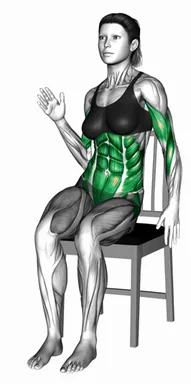 Seated Hip Sway Cut on a Chair demo