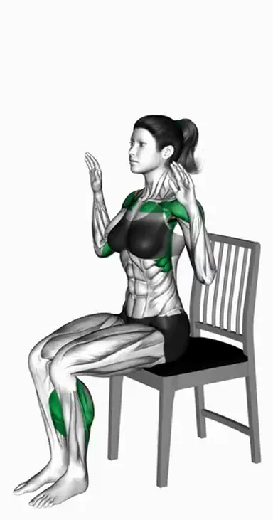 Seated Incline Press Calf Raise on a Chair demo