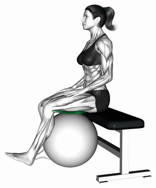 Sitting Isometric Hamstring Curl Hold with Exercise Ball demo