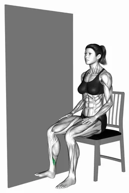 시티드 아이소메트릭 비골근 조이기 자세 시연