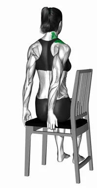 Sitting Neck Rotation Stretch demo