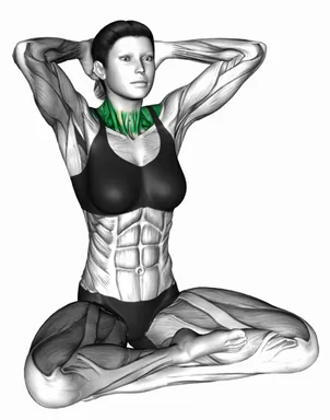 Sitting Neck Stretch demo