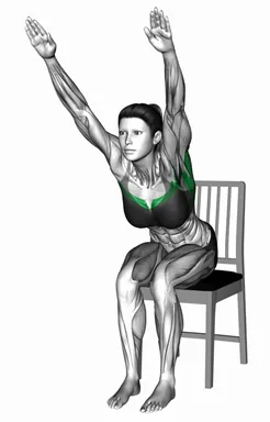 Sitting Palm Pulldown on a Chair demo