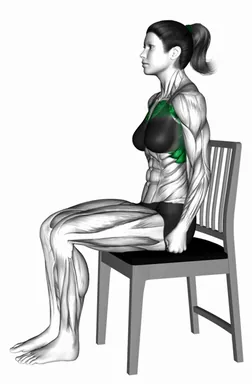 Sitting Press-Up on a Chair demo