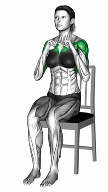 의자 시티드 펀치 자세 시연