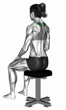 Sitting Scapular Adduction (side back POV) demo