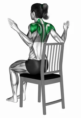 Sitting Side Circle Draw on a Chair demo
