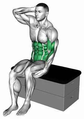 Sitting Side Crunch on a Padded Stool demo