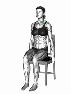 Sitting Side Neck Stretch on a Chair demo