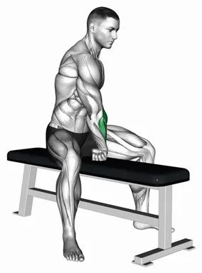 Sitting Single Arm Wrist Extensors Stretch demo