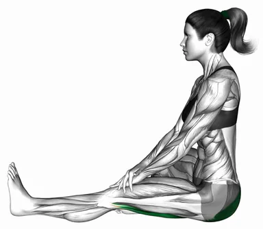 Sitting Single Straight Back Hamstring Lean demo