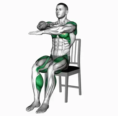 Sitting Swimming Knee Raise on a Chair demo