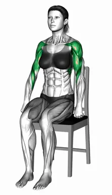 Sitting Upright Row on a Chair demo