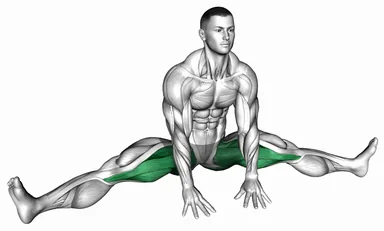 Sitting Wide Leg Adductor Stretch demo